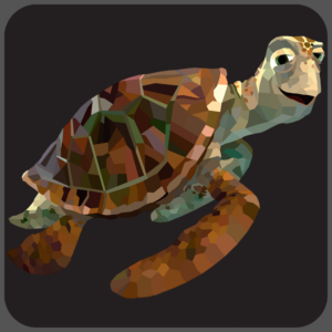 در جستجوی نمو